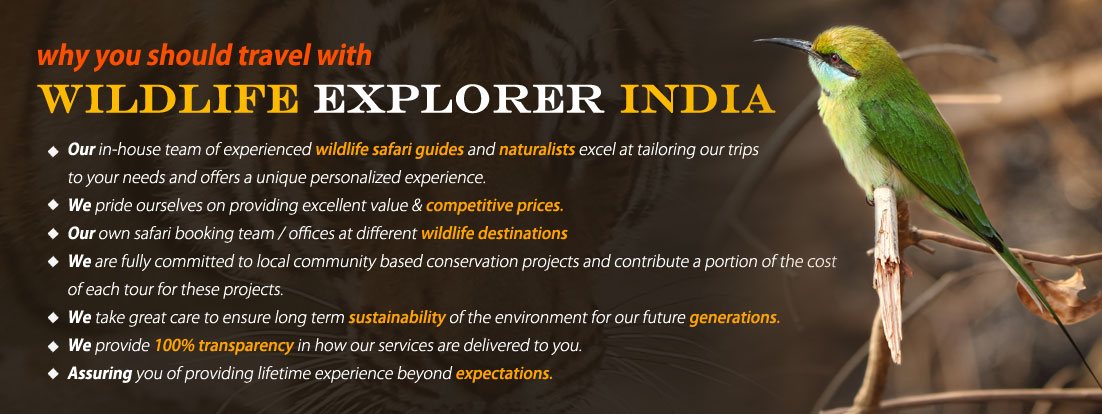Wildlife Tours India